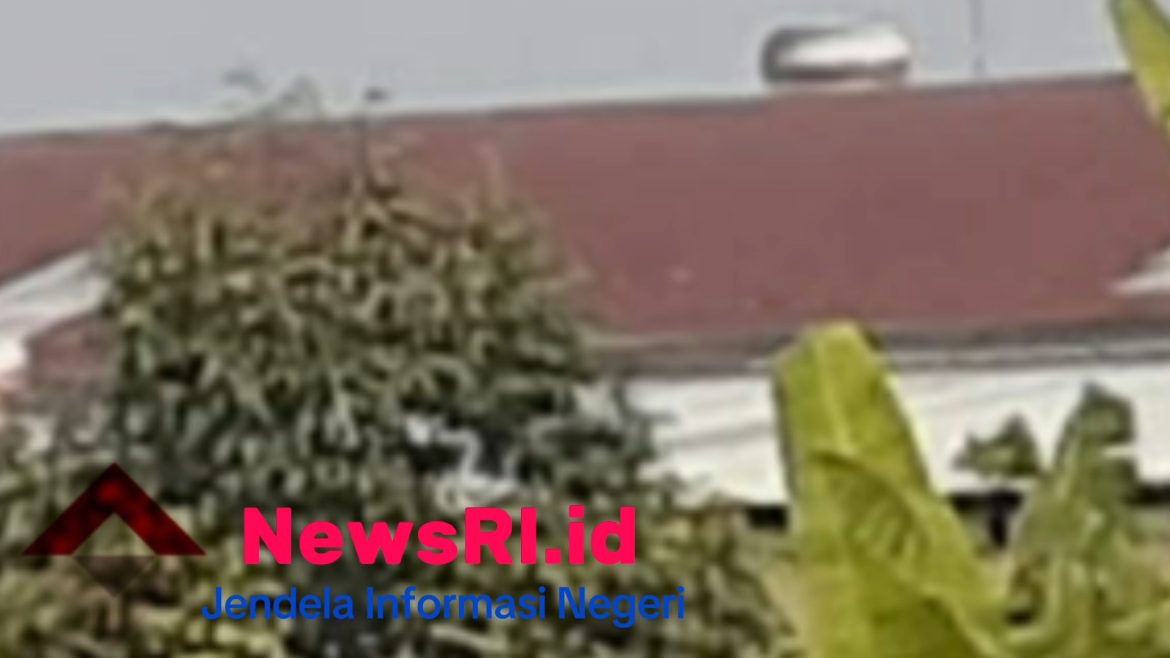 Limbah Pabrik Pupuk Bau Menyegat, Warga Desa KaliKangkung Resah