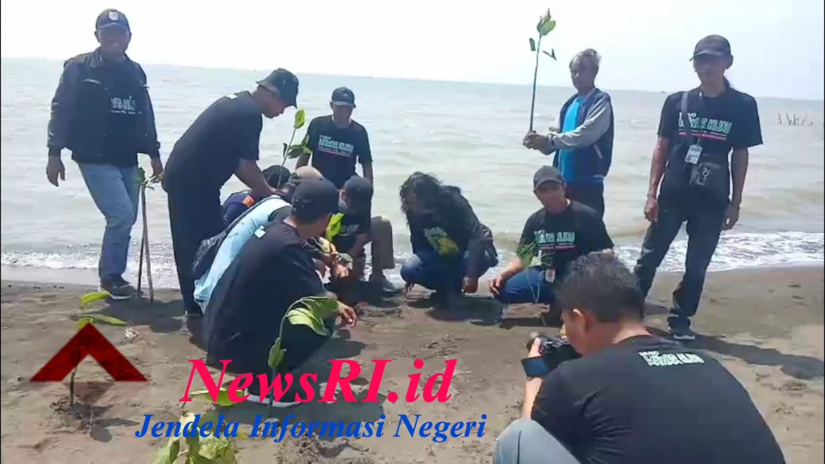 Aktivis Lingkungan Mawar Hijau Bersama Walikota Tegal Pelopori Penanaman Sejuta Pohon di Pulau Kodok