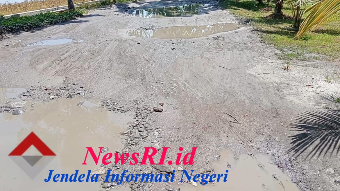 21 Tahun Kabupaten Serdang Bedagai, Banyak Jalan Bagaikan Kolam Ikan