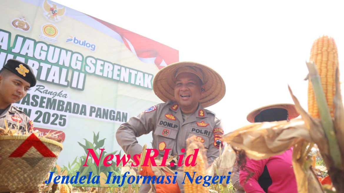 Dukung Swasembada Pangan Kuartal II Tahun 2025, Polres Pekalongan Gelar Kegiatan Panen Raya Jagung Serentak