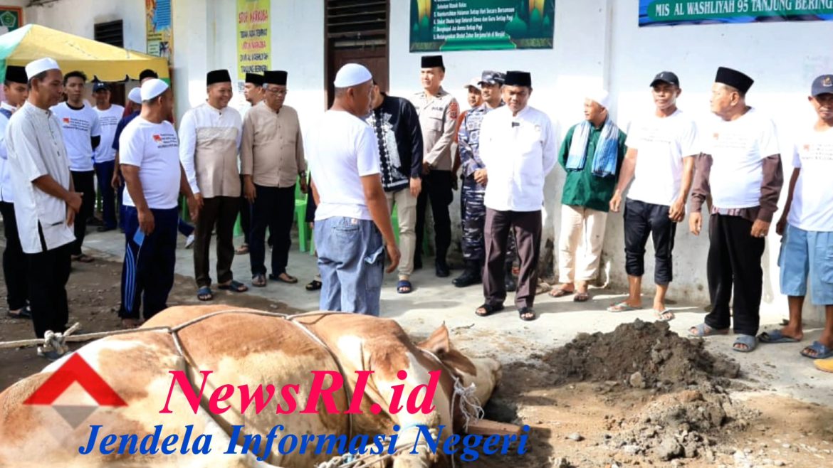 Perdana! Serdang Bedagai Terima Hewan Kurban Berbobot 820 Kg dari Presiden Prabowo
