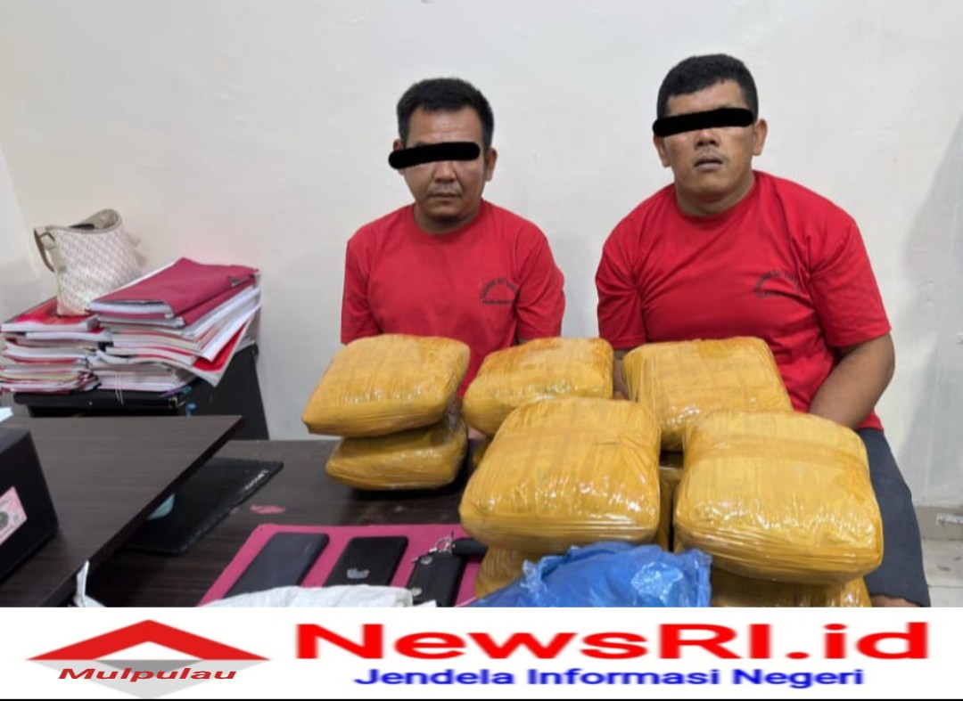 Satres Narkoba Polres Rohul Tangkap Dua Pria Penyalahguna Narkotika Jenis Daun Ganja Kering Seberat 10,3 Kg