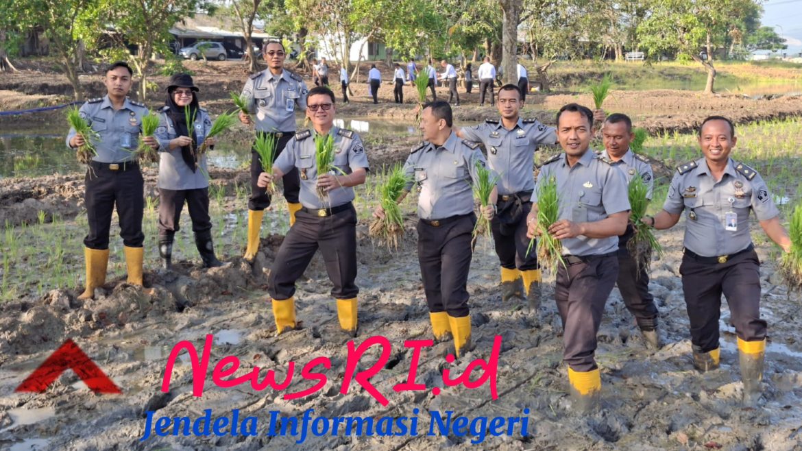 Wujudkan Ketahanan Pangan Mandiri, Lapas Narkotika Cirebon Galakkan Tanam Padi