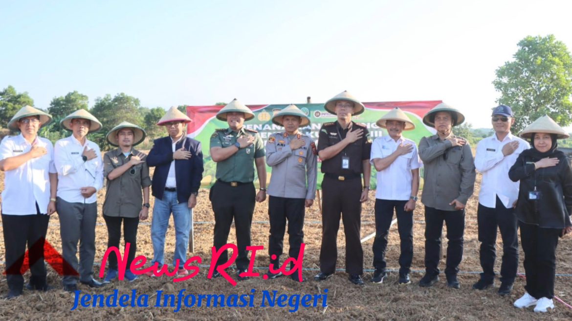 Dukung Asta Cita Presiden RI, Polres Indramayu Kolaborasi Tanam Jagung di Petak 18A RPH Cijambe