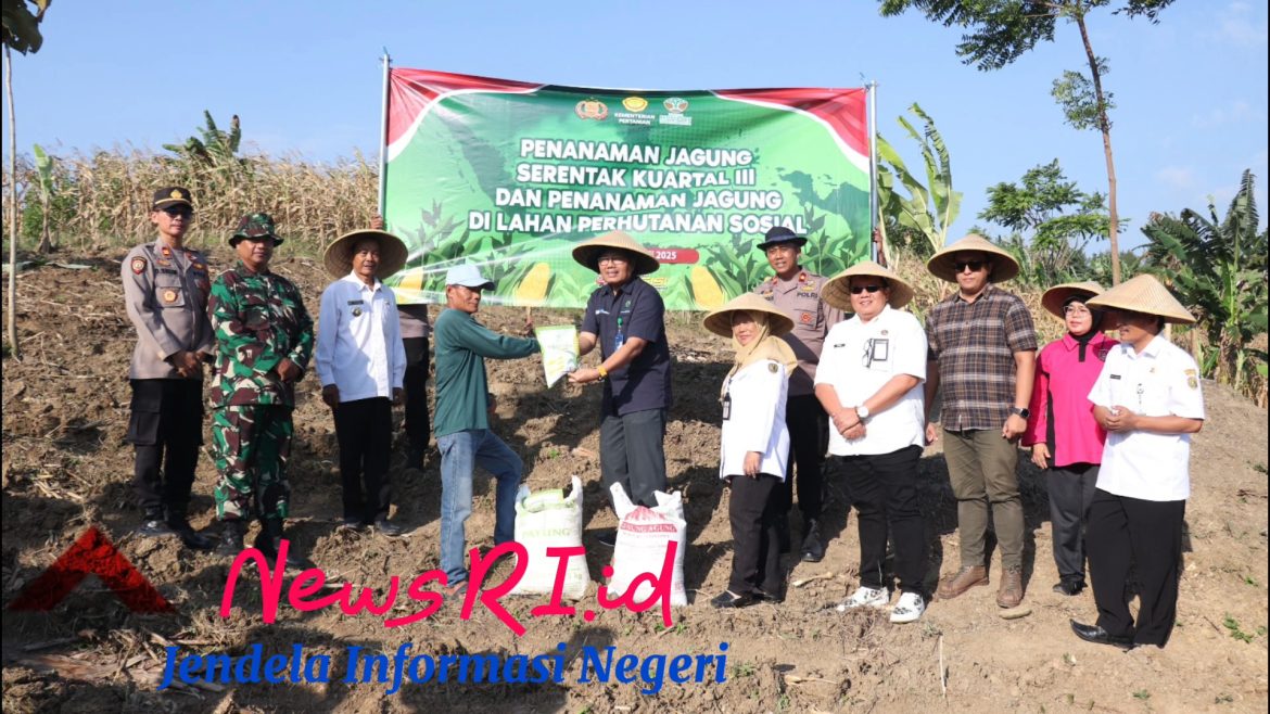 Dukung Program Swasembada Pangan 2025, Polres Pekalongan dan Jajarannya Tanam Jagung Serentak