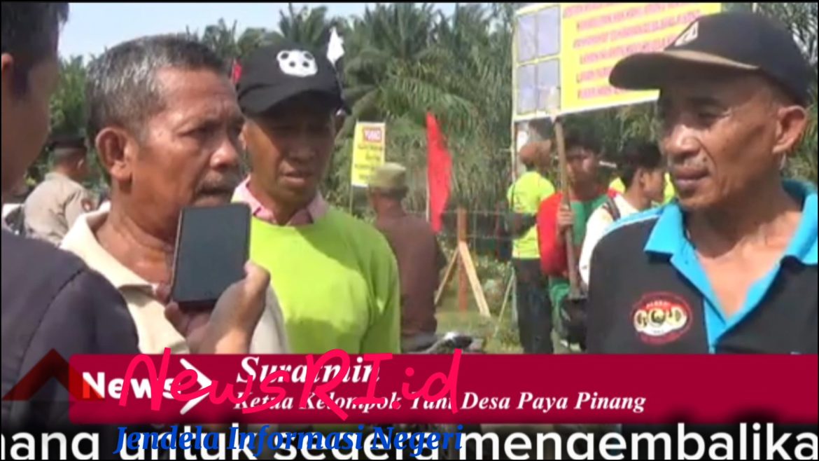 Hanya Diberi Uang Cangkul Rp 5.000 / Rante, 106 Orang Ahli Waris Desak PT.PD Paya Pinang Kembalikan 65 Ha Lahan Persawahan