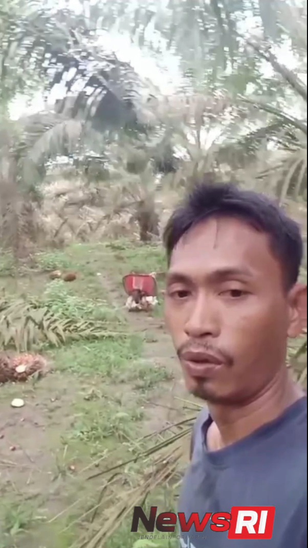 lv_0_20251030003000(1)